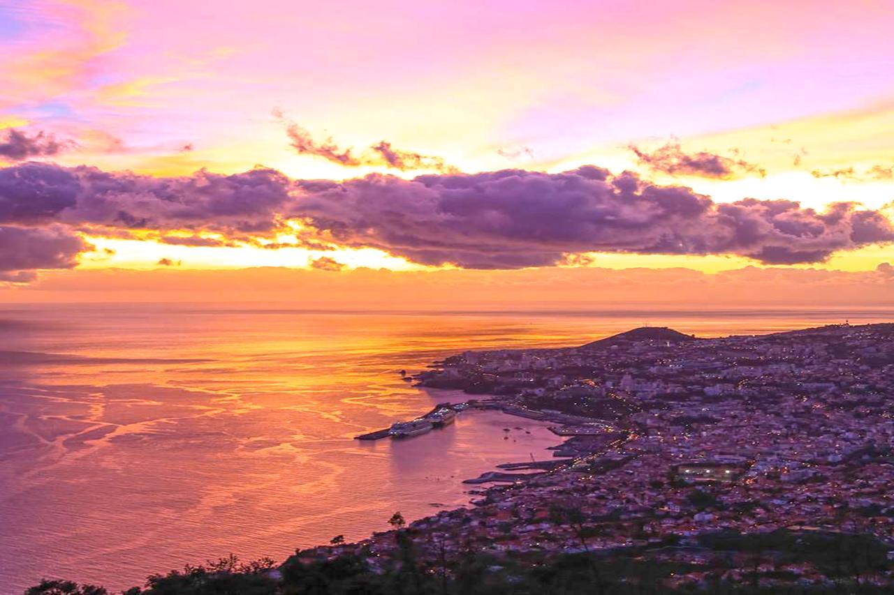 Luxury One Bedroom Palheiro Village By Hr Madeira Funchal  Eksteriør bilde